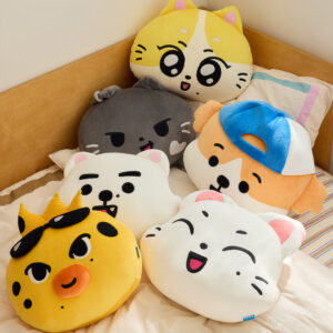 ENCHIN Face cushion - pedido abierto