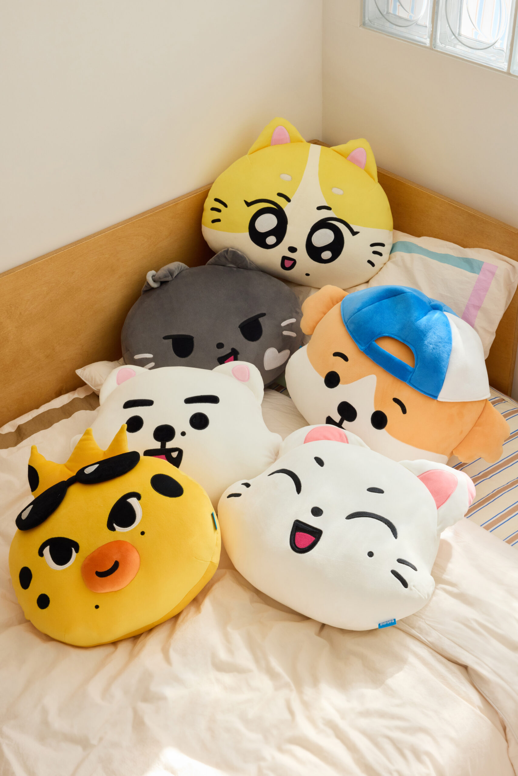 ENCHIN Face cushion - pedido abierto